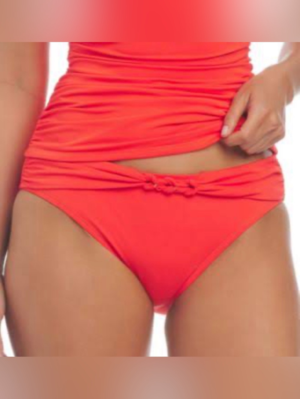 NWT Bleu Rod Beattie Braided-Belt Hipster Bikini Bottoms